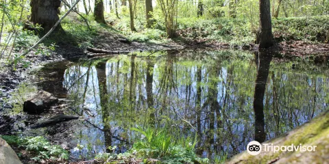 Prästamarkens naturreservat