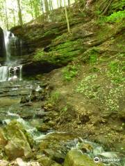 Horseshoe Falls