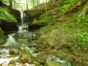 Horseshoe Falls