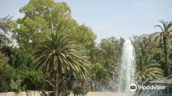 Belvedere Park
