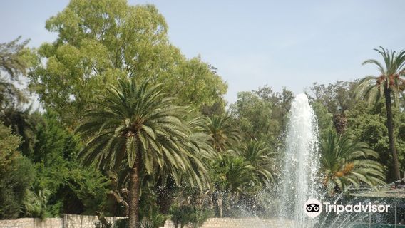 Tunisi