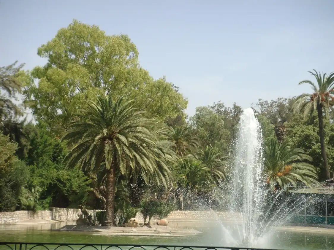 Hotels near حديقة البلفيدير تونس