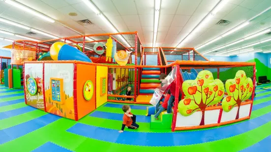 Zippy Zoom Indoor Playground - Farm