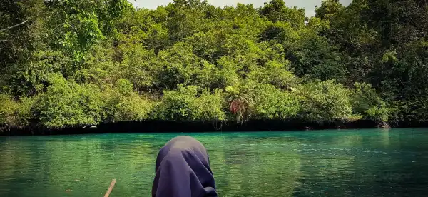 Hotels in Muna Regency