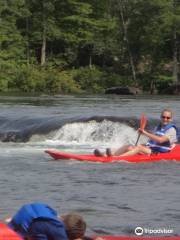 Ambush Adventures Kayak Rental