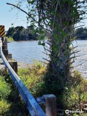 Bird Creek Beach