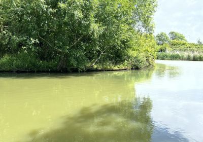 Back Arun Fishery