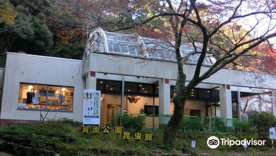 Mino Park Museum of Insects