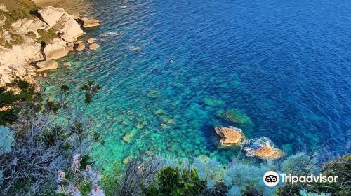 Reserve Naturelle des Bouches de Bonifacio