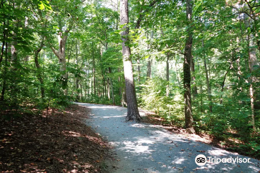 Leita Thompson Memorial Park