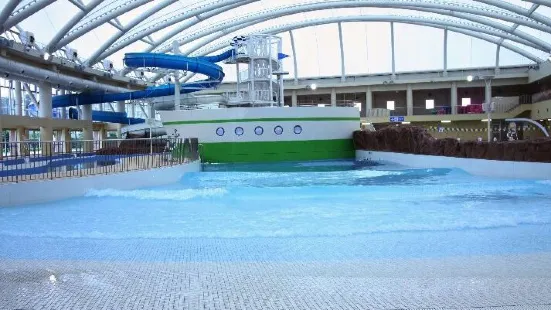 White Wave 21 Swimming Pool