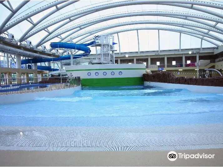 White Wave 21 Swimming Pool