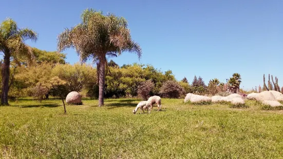 ウニベルシダー・デ・タルカ植物園