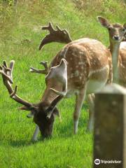 Parc animalier Rene CANIVENC (Le Moulineau)