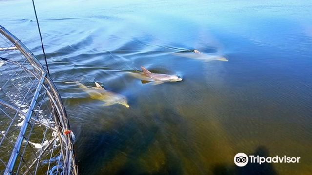 St Martins Marsh Aquatic Preserve