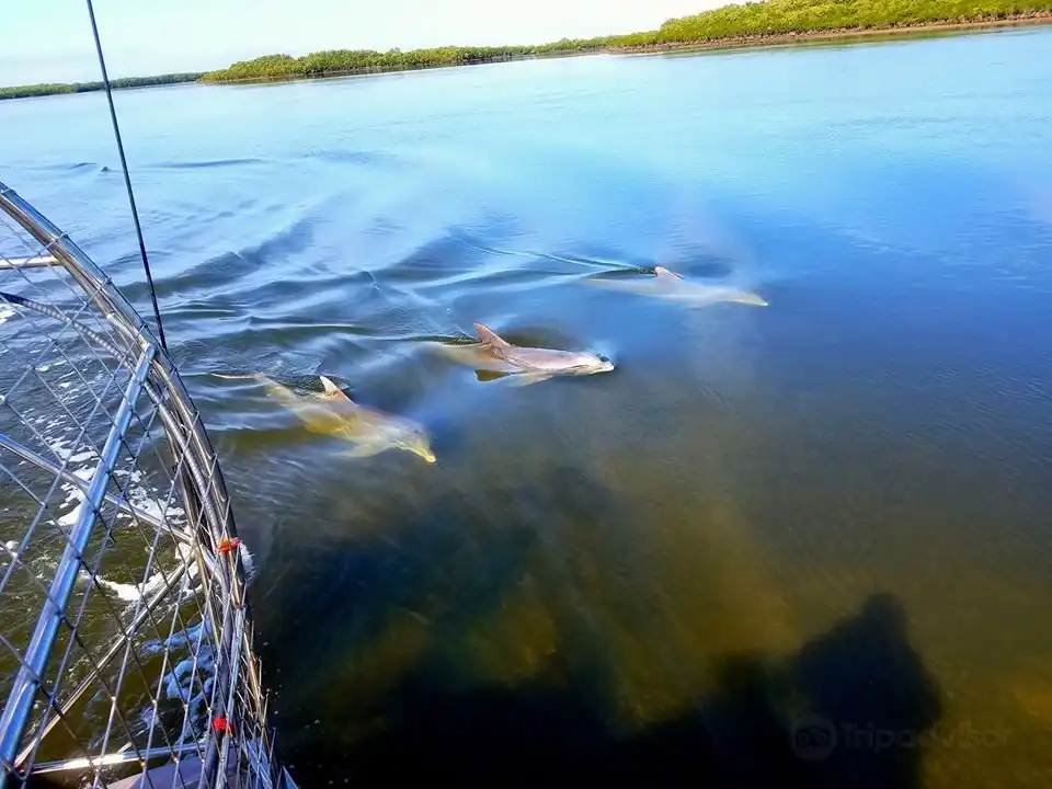Hotels near St Martins Marsh Aquatic Preserve