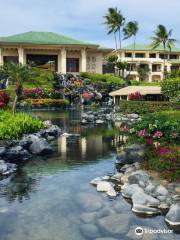 Grand Hyatt Kauai Luau