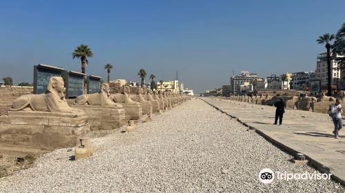 Avenue of Sphinxes