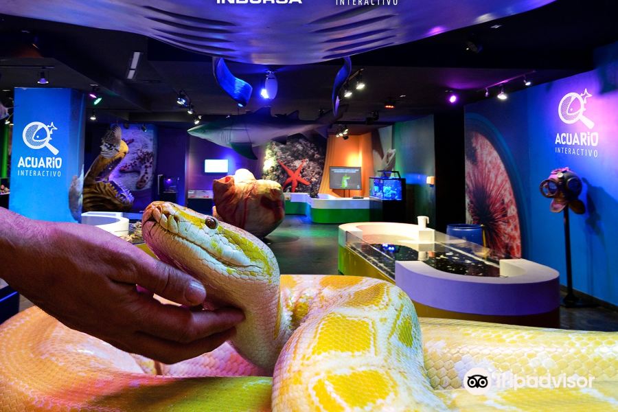 Acuario Inbursa
