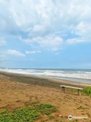 Playa Salinas Grandes