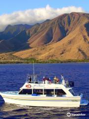 Maui Boat Trips