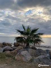 Kingston Park Coastal Reserve