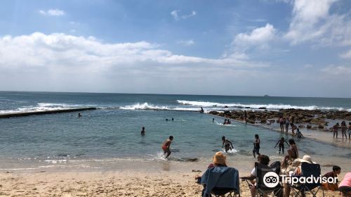 Dalebrook Tidal Pool