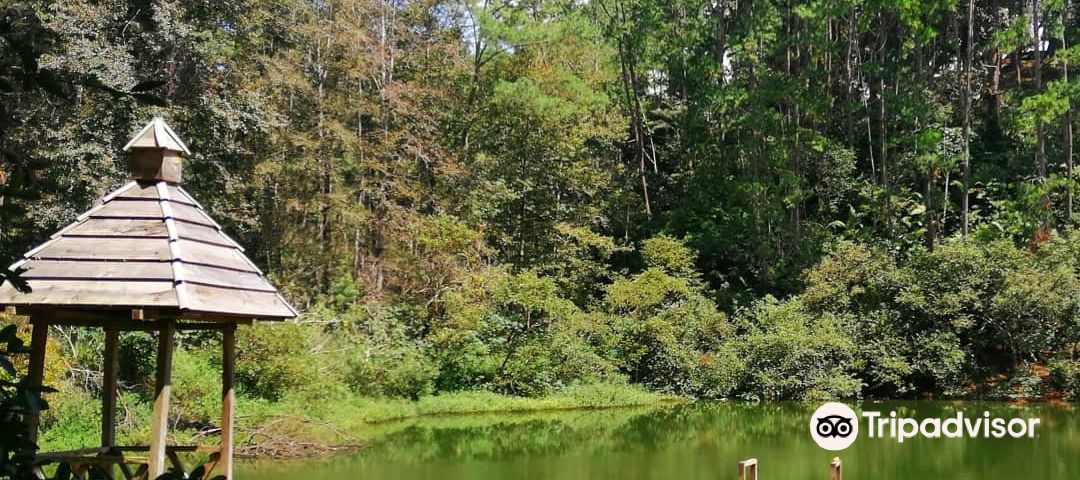 CobanWi-Fi & SIM cards