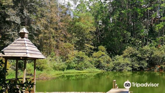 Parque Nacional Las Victorias