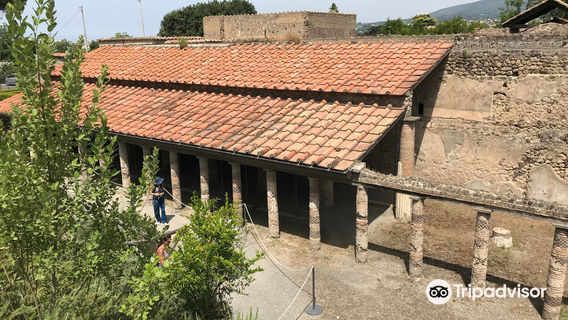 Villa of the Mysteries