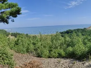 The Dead Dunes