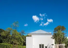 Museu Serralves