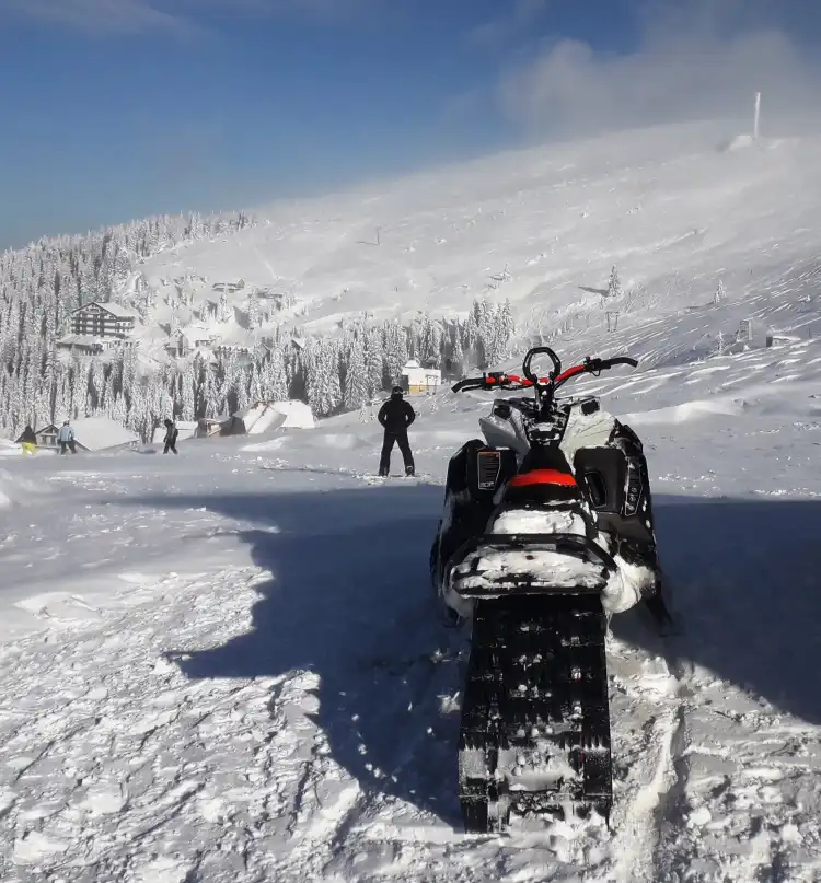 Hotels in Poiana Marului