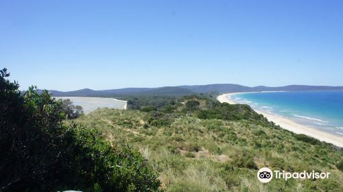 Truganini - The Neck Game Reserve Lookout