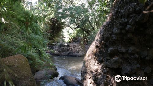 Salto Del Rehuén