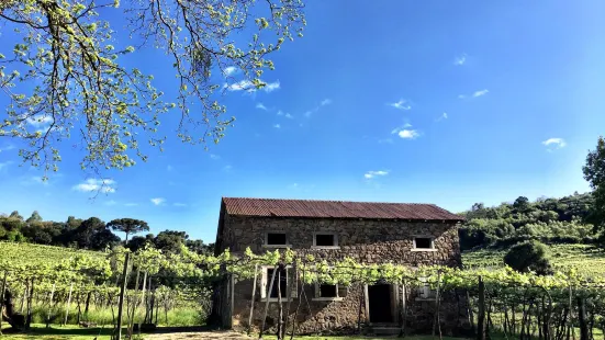 Caminhos de Pedra