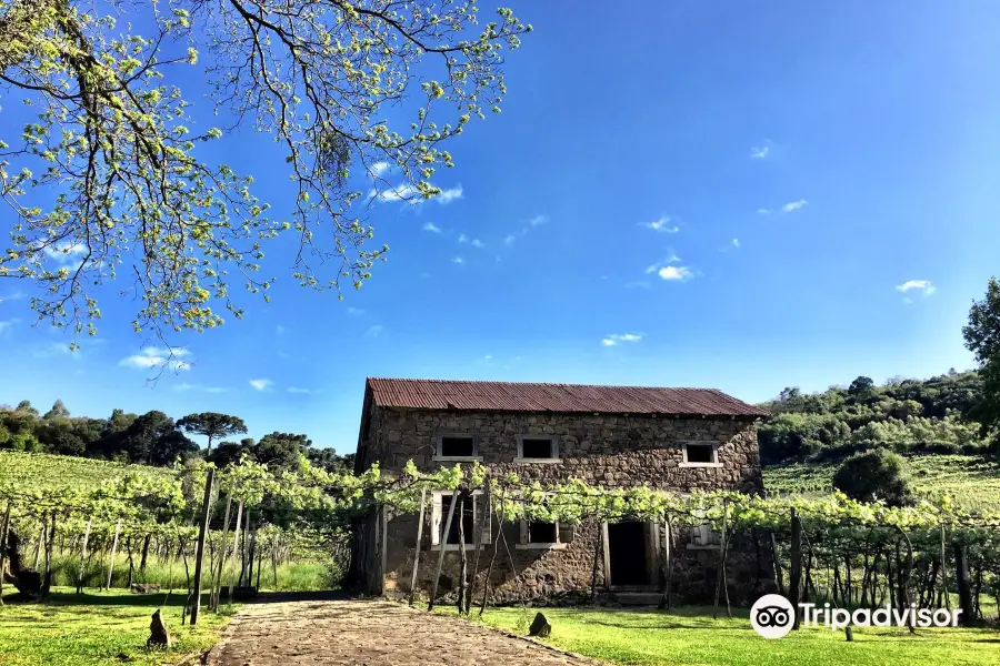 Caminhos de Pedra