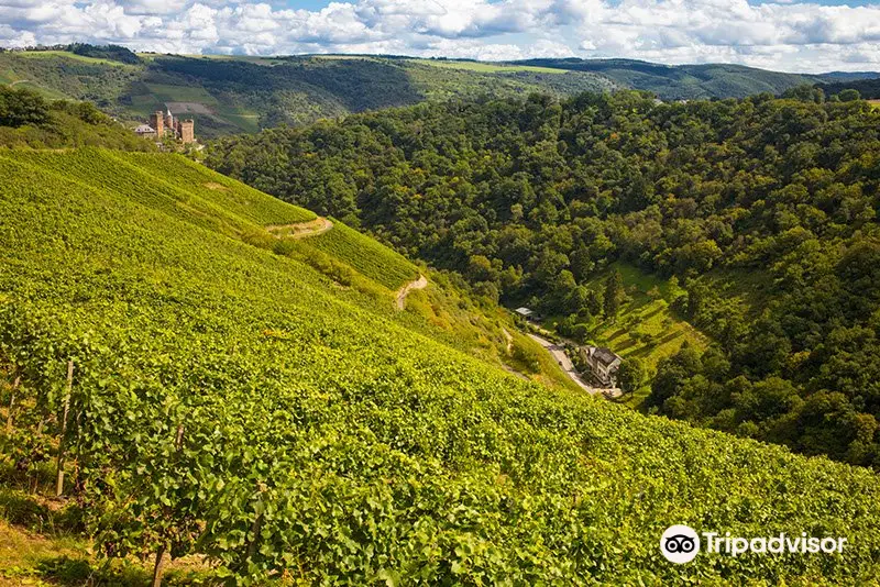 Weingut Lanius-Knab