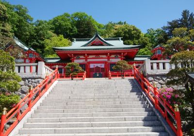 Ashikaga