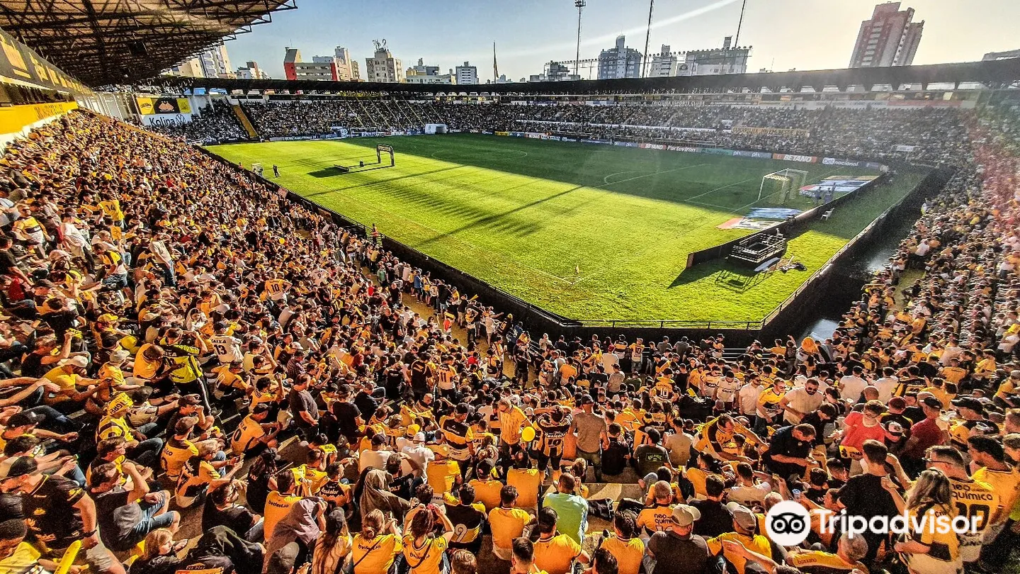 2_Stadium Heriberto Hülse (Majestic)