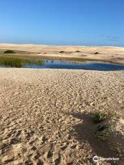 Stockton Sand Dunes