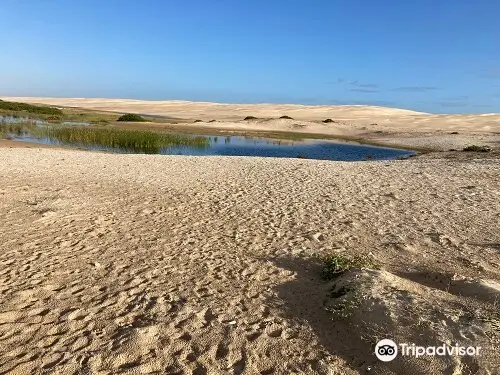 Stockton Sand Dunes