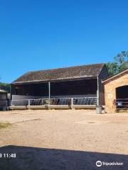 Stonehurst Family Farm and Motor Museum