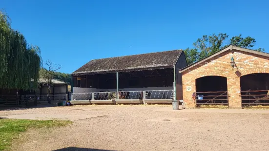 Stonehurst Family Farm and Motor Museum