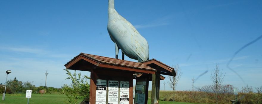 World's Largest Sandhill Crane