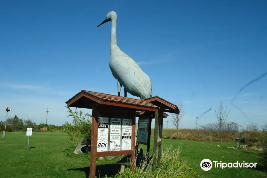 World's Largest Sandhill Crane