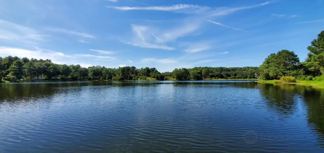 Hotels near Jarvis Creek Park