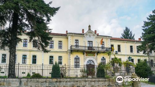 NI Institute and Museum Bitola