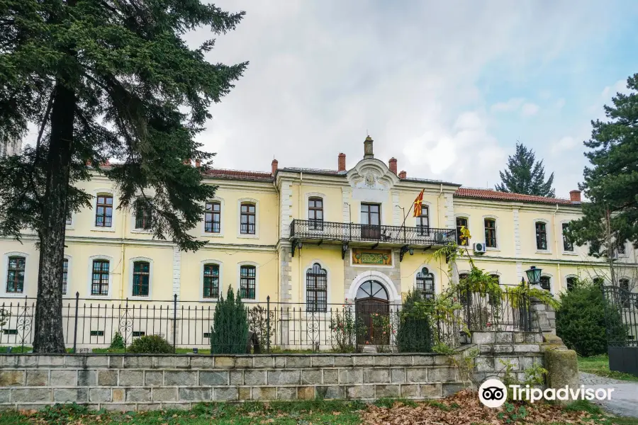 NI Institute and Museum Bitola