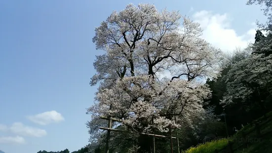 Hyotan Sakura Park